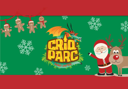 Vacances de Noël