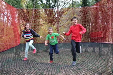 Trampoline